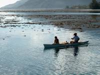 breakfast delivered by boat 5 